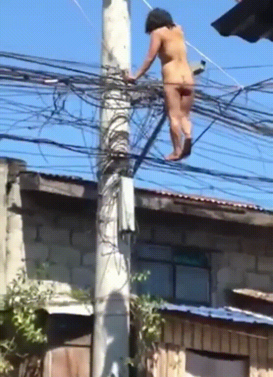 帖子图片